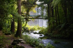 parque nacional nueva zelanda